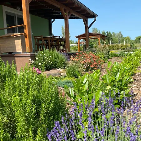 Appartement Rizling Vendeghaz *