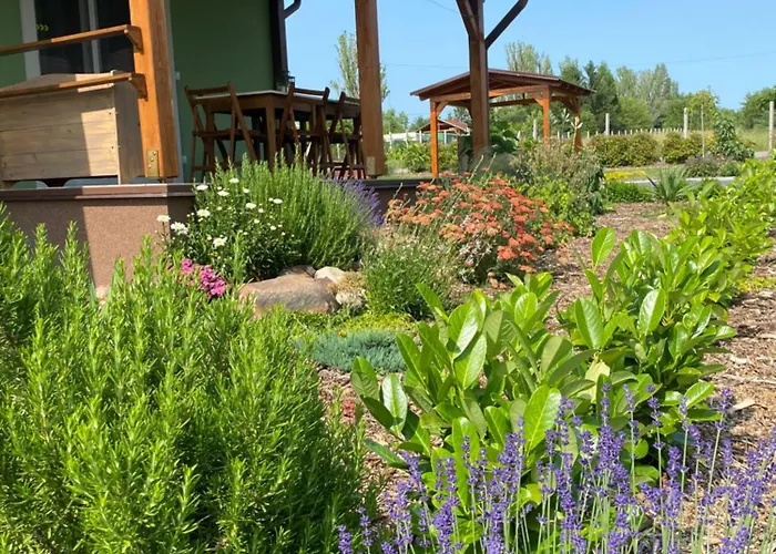 Daire Rizling Vendeghaz *